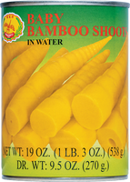 dragonfly BRAND 12140 DF BABY BAMBOO SHOOT(S)