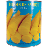 tas BRAND 12474 TAS BABY BAMBOO SHOOT (XL)