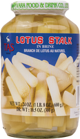 tas BRAND 12927 TAS LOTUS STALKS (L)