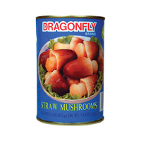 PEEL STRAW (BLUE) 24X15OZ