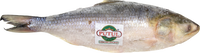 putul BRAND 71107 FZ WHOLE HILSHA FISH (12/15)