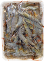 other BRAND 71451 FZ WHITE LEG TINY WHITE SHRIMP