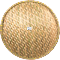 TRAY 22 INCH 10X1PCS